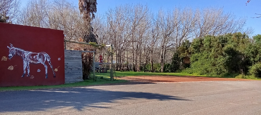 Commercial Property for Sale in Baardskeerdersbos Western Cape